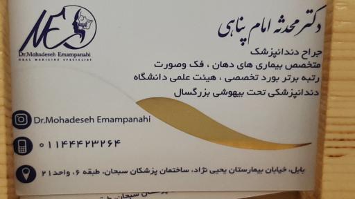 دکتر محدثه امام پناهی 