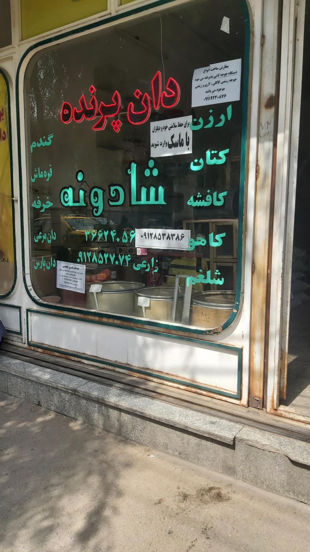 عکس دان پرنده شادونه