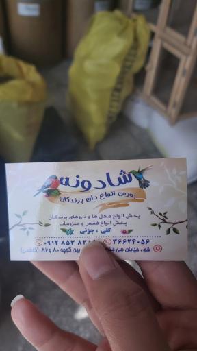 عکس دان پرنده شادونه