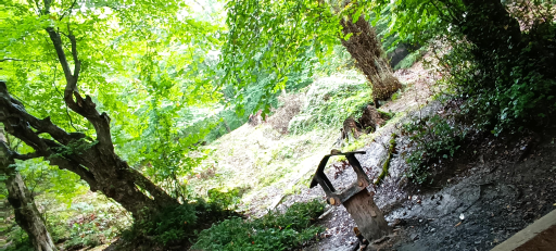 عکس پارک آزادمهر