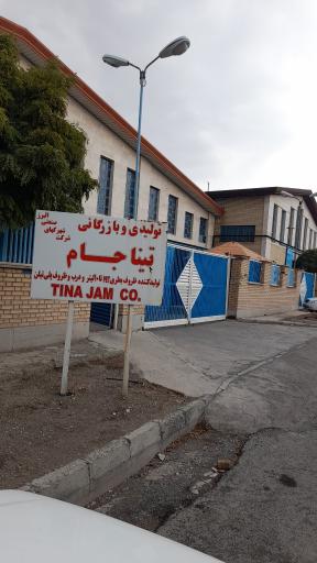 عکس تینا جام