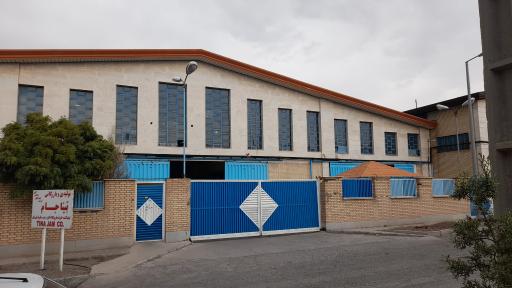 عکس تینا جام