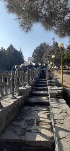 عکس شهربازی میامی