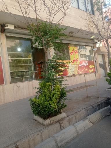 عکس نانوایی سلامت