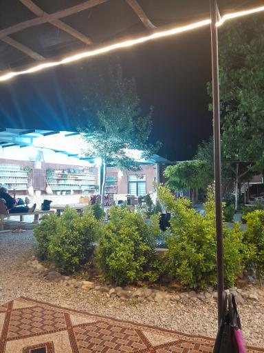 عکس گلابگیری سنتی گل گندم