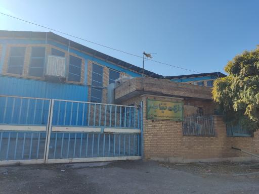 عکس تینا جام