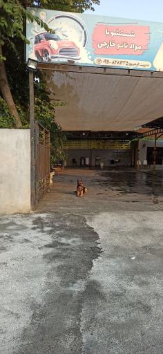 عکس کارواش احمد