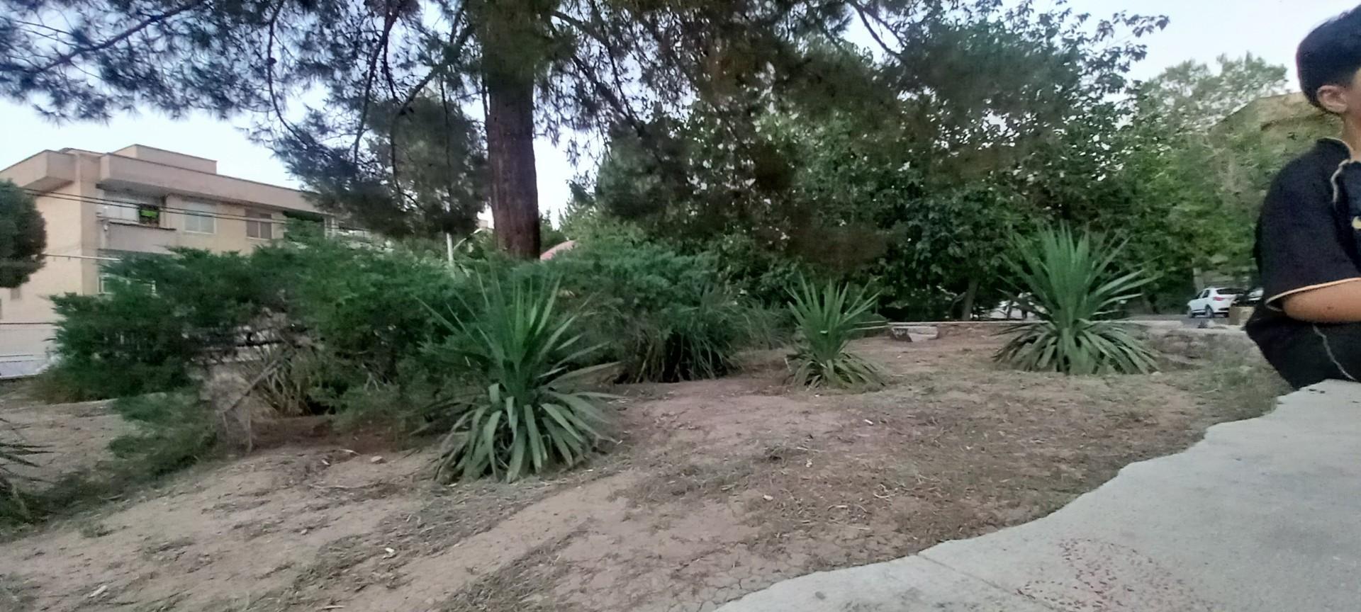 عکس بوستان گلها 