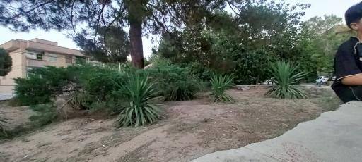 عکس بوستان گلها 