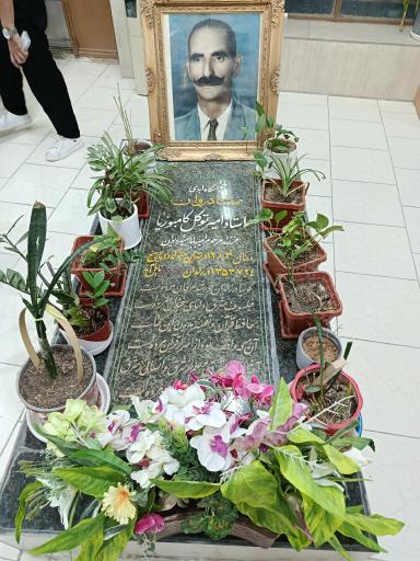عکس کتابخانه استاد کامبوزیا