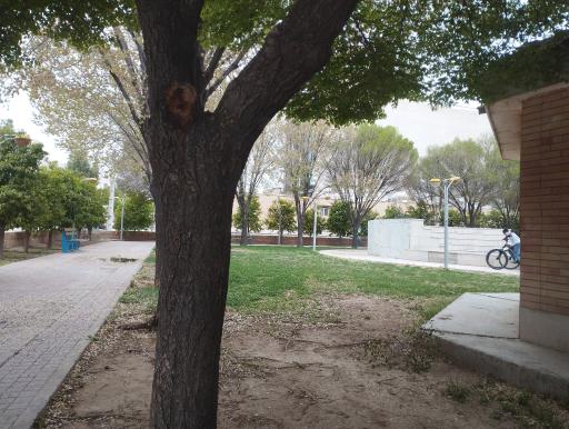 عکس بوستان یاسمن