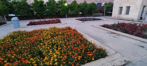 عکس بوستان یاسمن