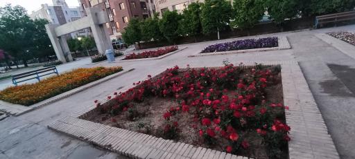 عکس بوستان یاسمن