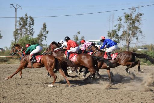 عکس مجموعه اسب‌دوانی بندر ترکمن