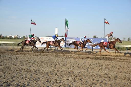 عکس مجموعه اسب‌دوانی بندر ترکمن