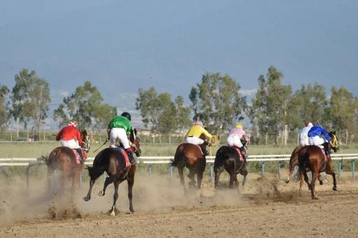 عکس مجموعه اسب‌دوانی بندر ترکمن