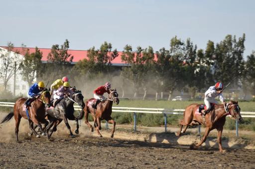 عکس مجموعه اسب‌دوانی بندر ترکمن