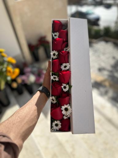 عکس گل دربار