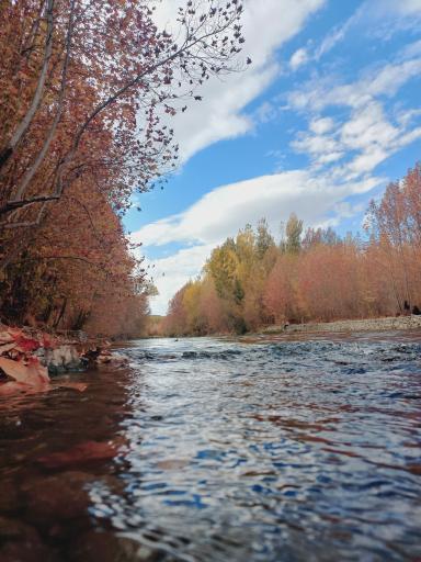 عکس زاینده رود