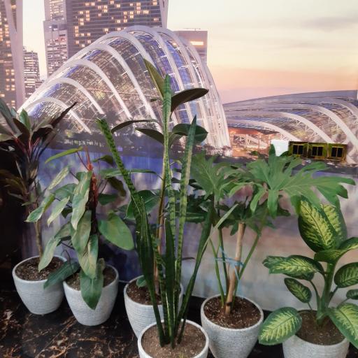 عکس آژانس املاک شهرآسا