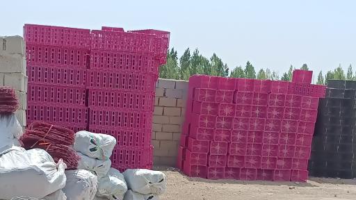 سبد فروشی سالار