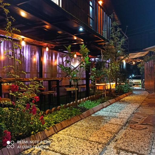 عکس کافه استیک شاخاب