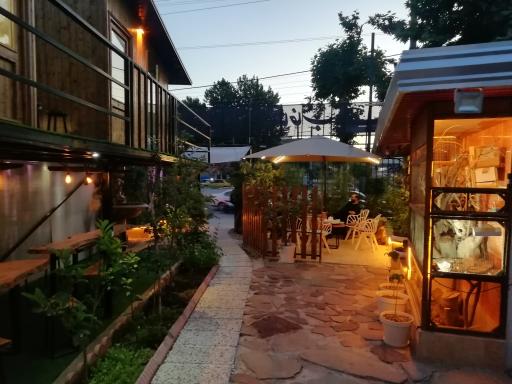 عکس کافه استیک شاخاب