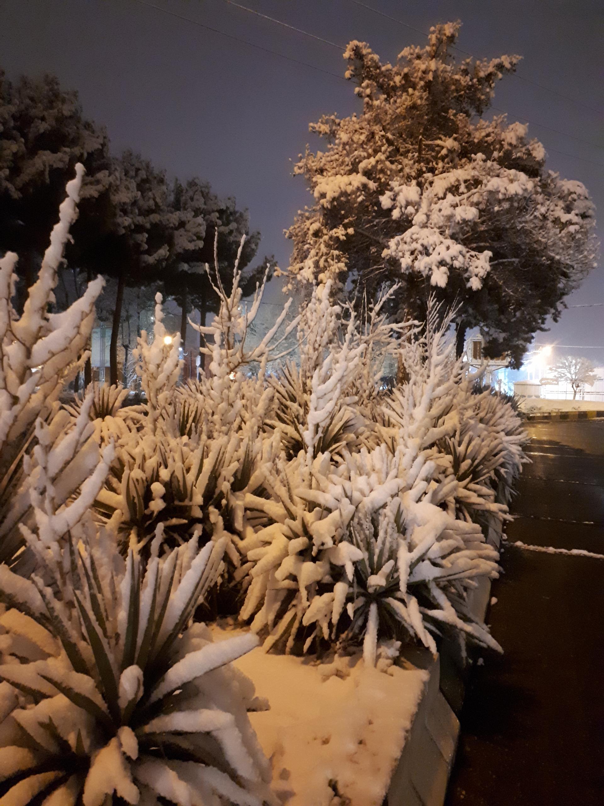 عکس بوستان ملت