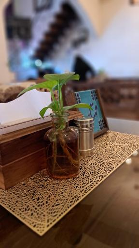 عکس رستوران سنتی آریا