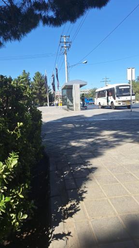 عکس  انتهای شهید مفتح