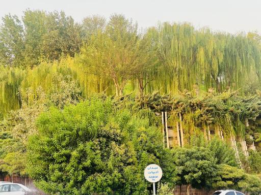 عکس میدان ادبیات 