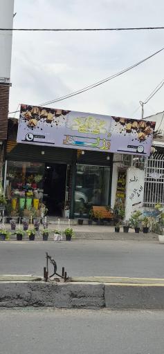 عکس گل فروشی رزلند
