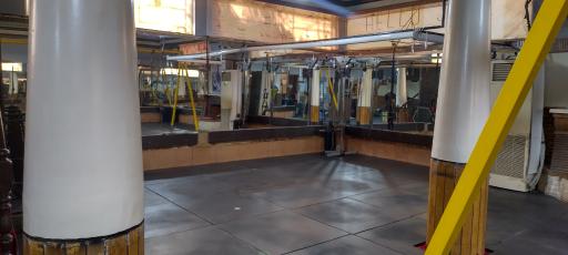 عکس باشگاه پریناز 