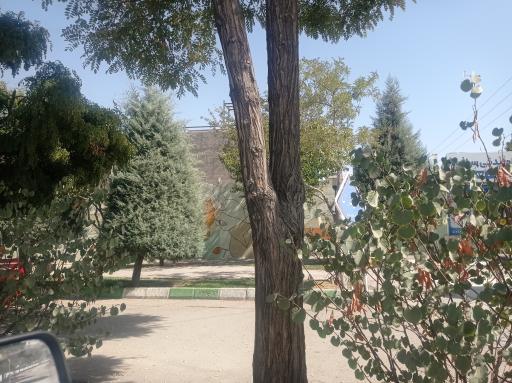 عکس بوستان گل آسا
