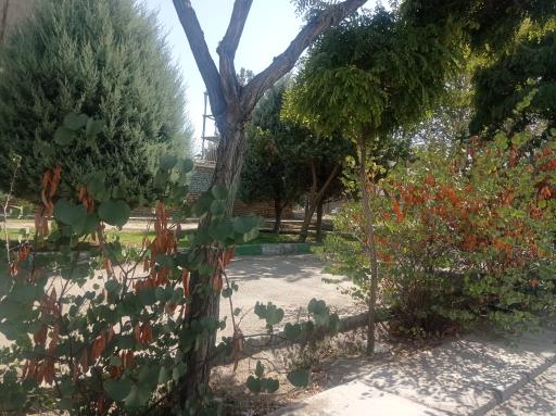 عکس بوستان گل آسا