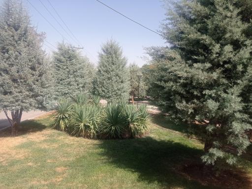 عکس بوستان گل آسا