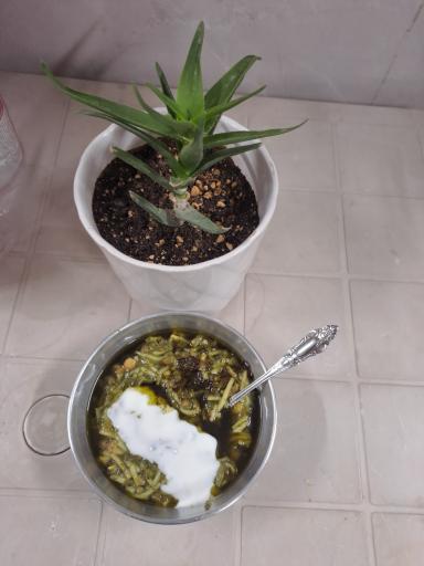 عکس آشکده