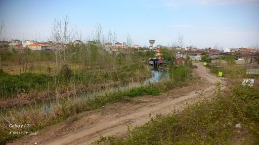 عکس ماهی گیری مرداب