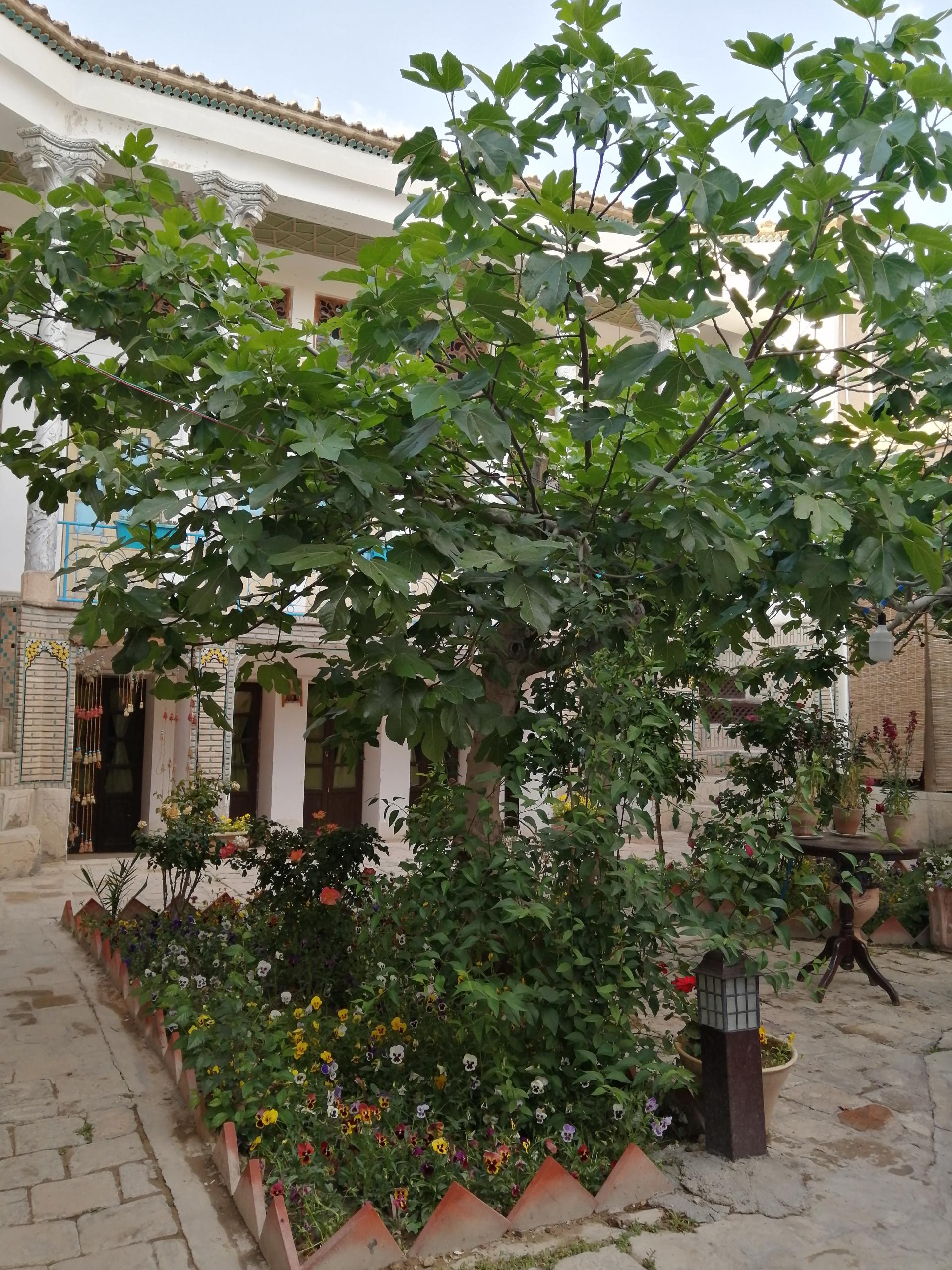 عکس اقامتگاه بومگردی اشکانی