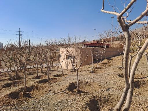 عکس سرویس بهداشتی شرقی بوستان آبشار