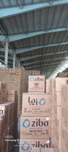 عکس شرکت زیباسازان