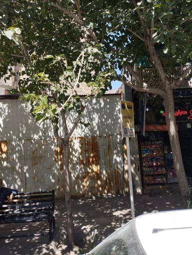 عکس  شهید اسفندیانی