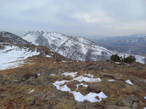 عکس ماه داغی (آی داغی)