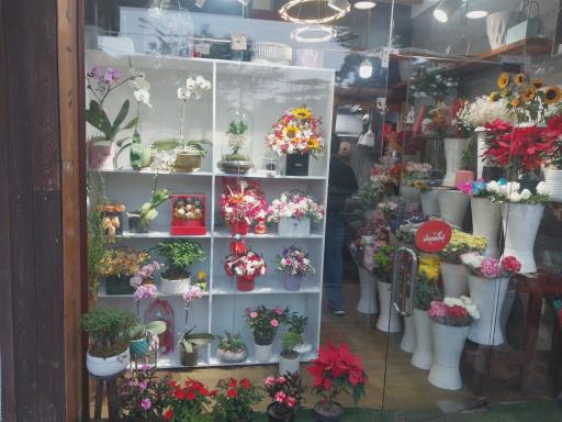 عکس گالری گل بامبو