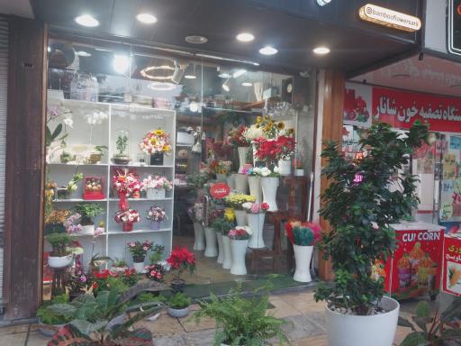 عکس گالری گل بامبو