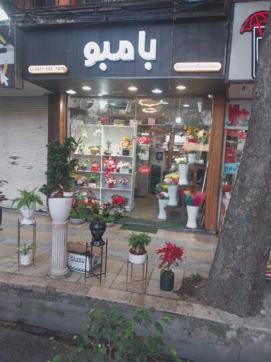 عکس گالری گل بامبو