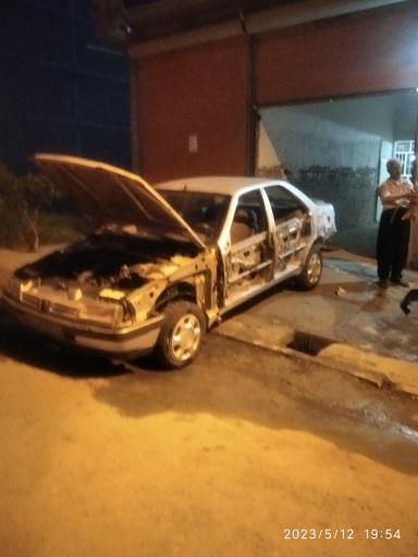 عکس صافکاری سید کامران حسینی 