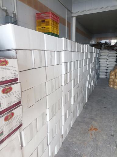 عکس پخش آفتاب