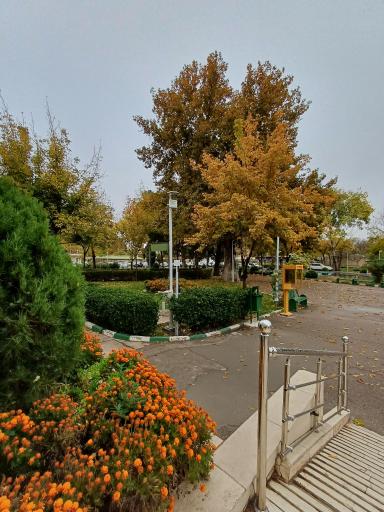 پردیس رضوان دانشگاه بین المللی امام رضا