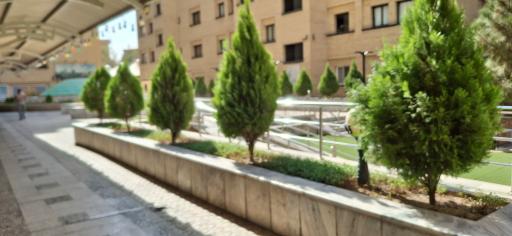 عکس زائر سرای بانک ملی ایران